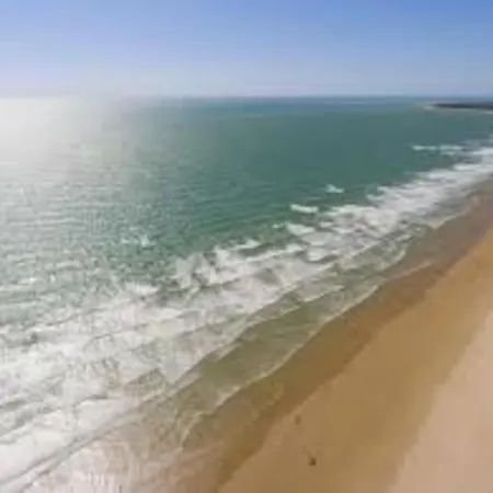 Caracolillo Mar Chiclana de la Frontera
